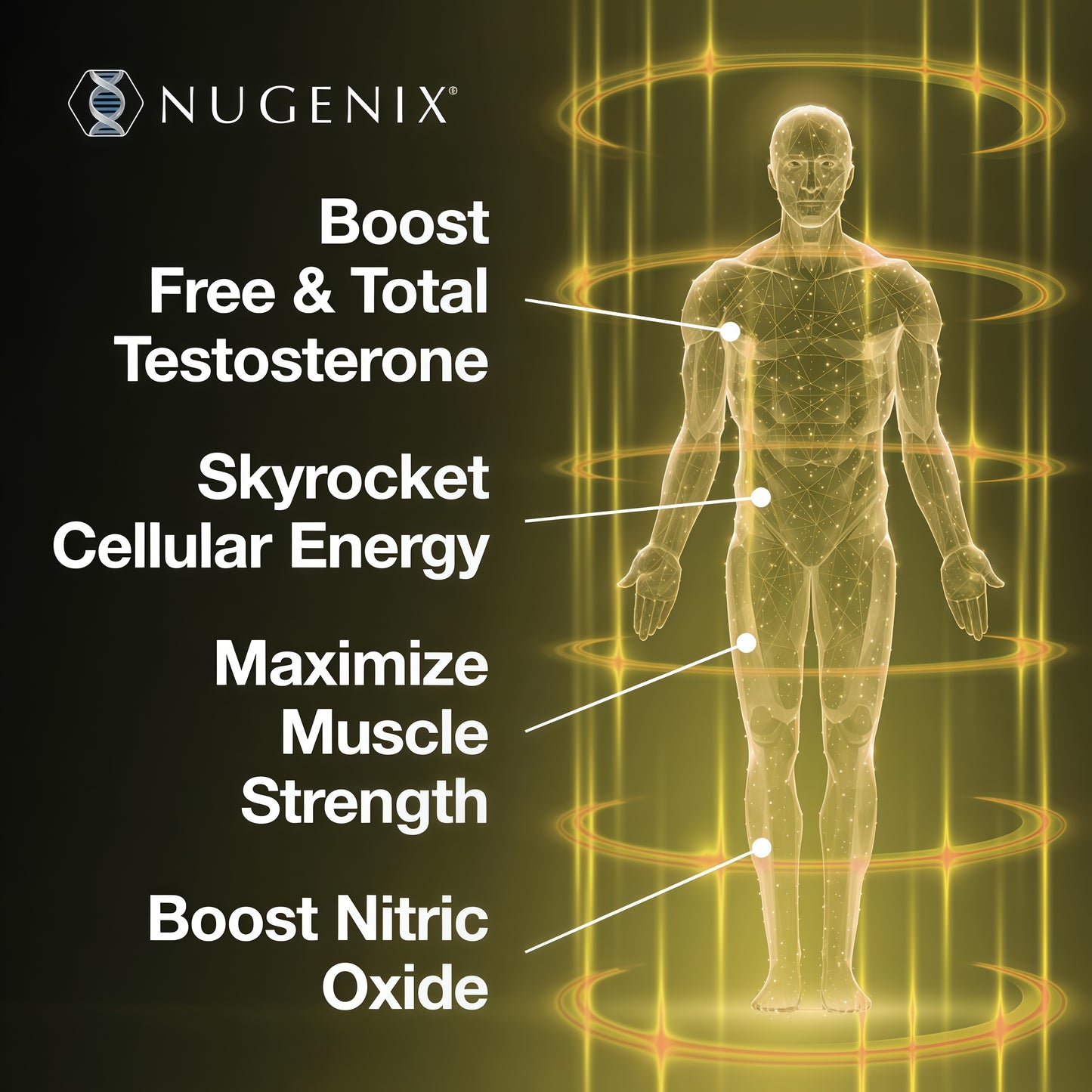Nugenix Total-T2 Testosterone Booster & Nitric Oxide Booster for Men, 90ct